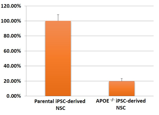 Image 4 - Expression of APOE in NSC by qPCR in iPSC Lines