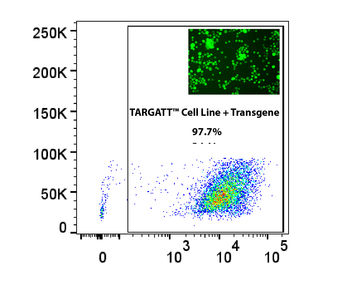 technical-targatt-cell-line-transgene-20181109