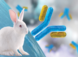 TARGATT™ Rabbit for Biopharming