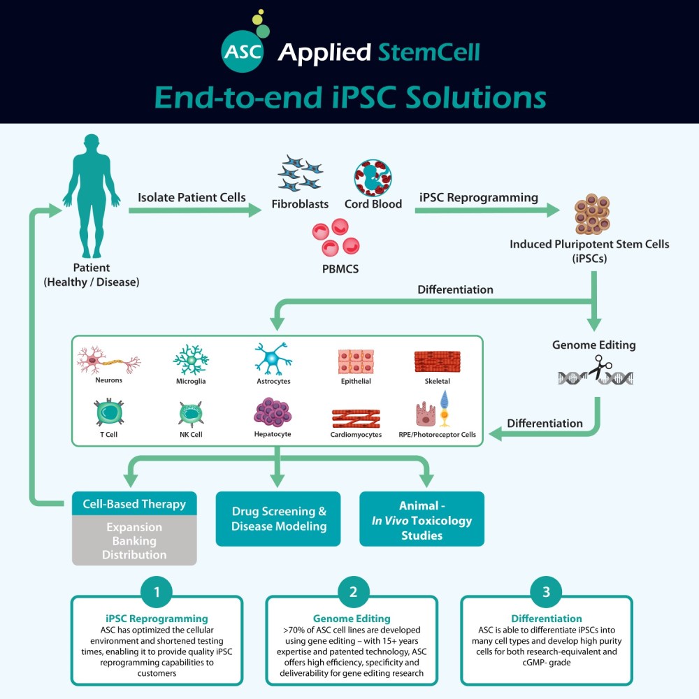 End-to-end iPSC Solutions | Applied StemCell