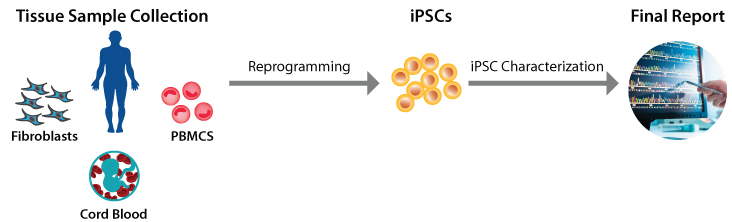 iPSC Generation
