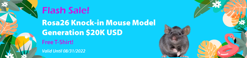Rosa26 Knock-in Mouse Model Generation $20K USD