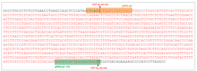 Cut sites - CRISPR iPSC