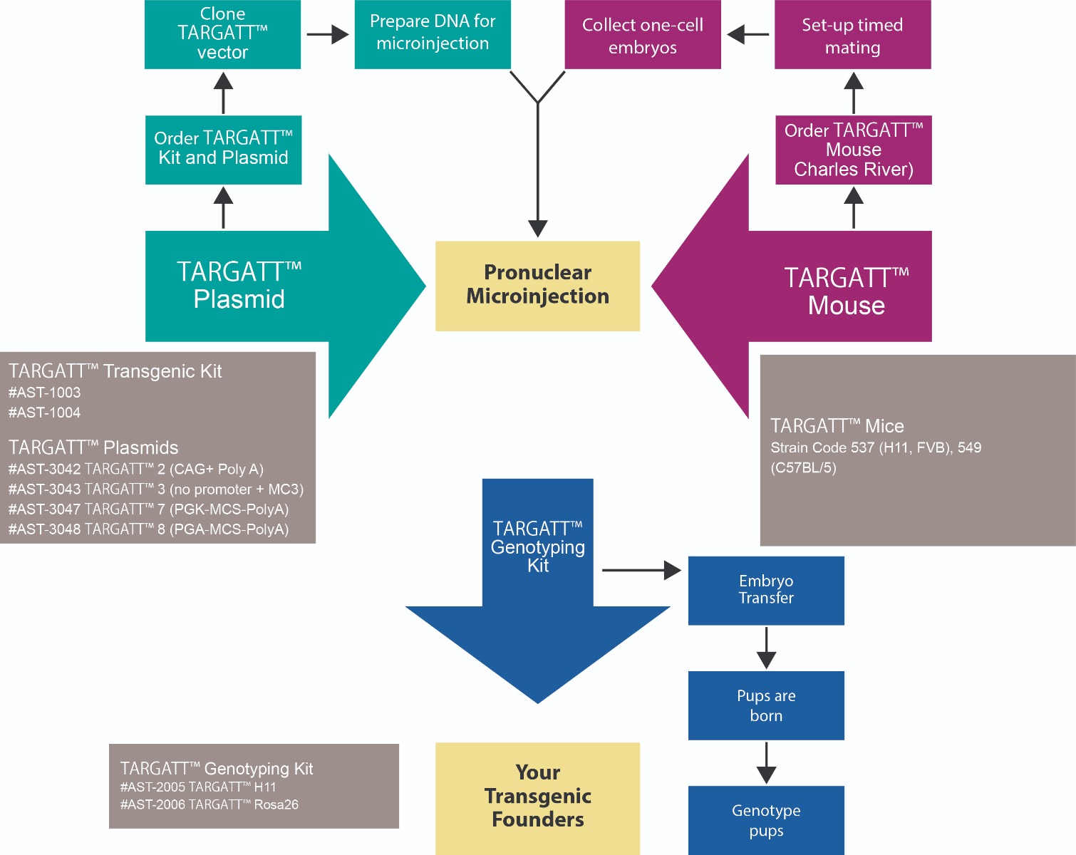 schematic-targatt-products-workflow