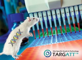 TARGATT™ Knock-in Cre-Rat Models